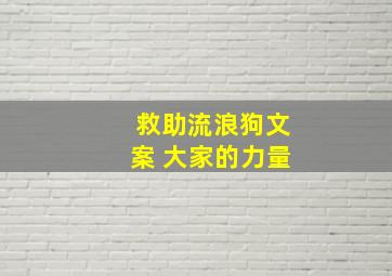 救助流浪狗文案 大家的力量